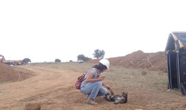 IMG_3837